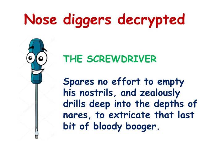 Screwdriver